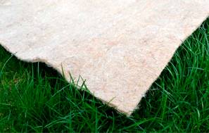 Биоматы